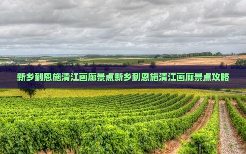新乡到恩施清江画廊景点