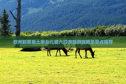 钦州到恩施土家女儿城六日游