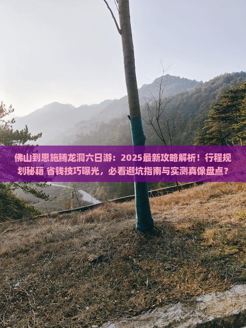 佛山到恩施腾龙洞六日游