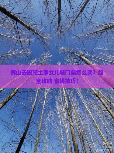 佛山去恩施土家女儿城门票