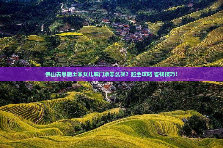 佛山去恩施土家女儿城门票