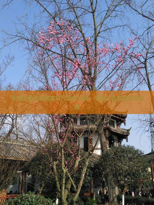 平顶山去恩施腾龙洞门票