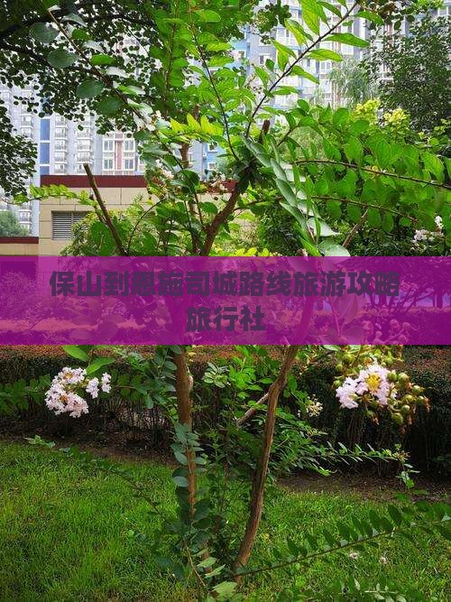 保山到恩施土司城旅行社