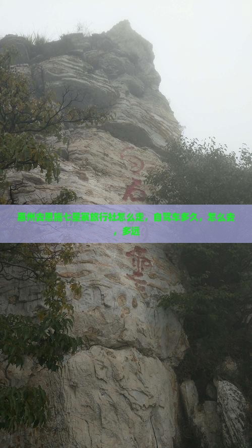 惠州去恩施七星寨旅行社