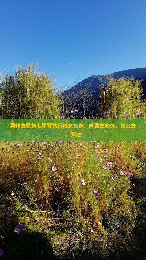 惠州去恩施七星寨旅行社