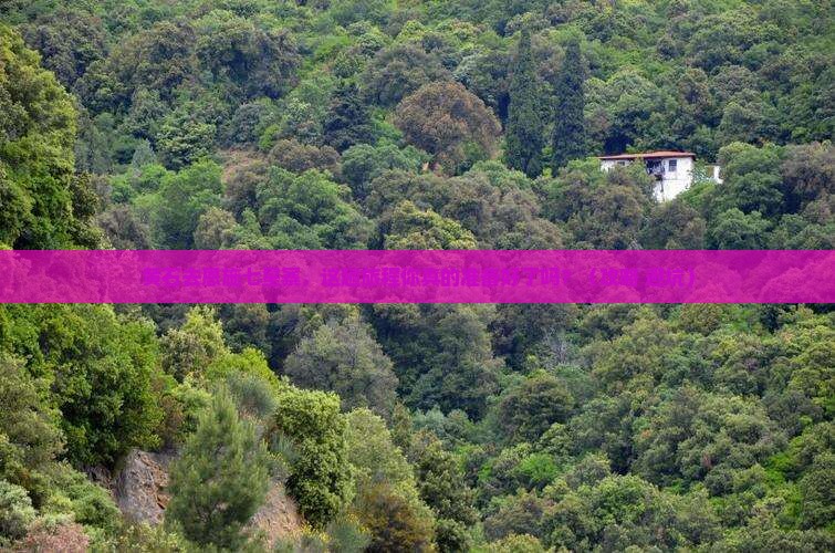 黄石去恩施七星寨旅行社