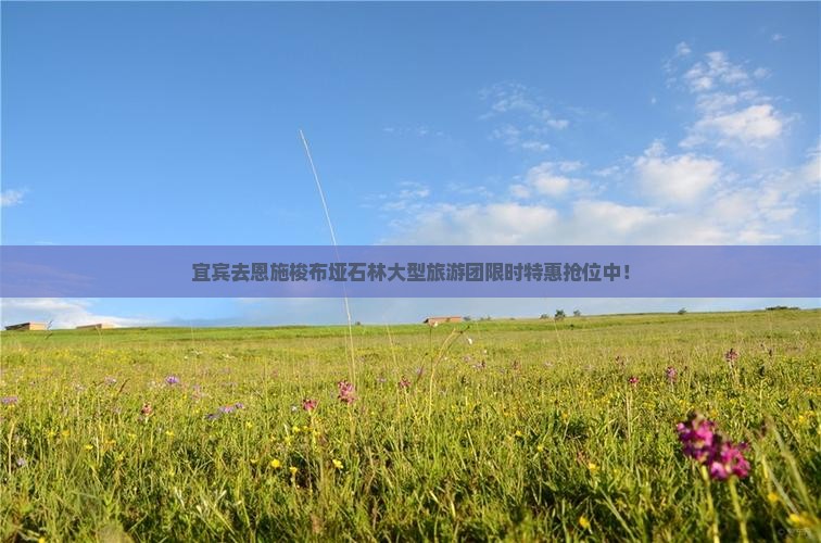 宜宾去恩施梭布垭石林大型旅游团