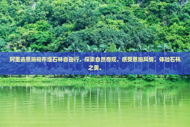 阿里去恩施梭布垭石林自由行