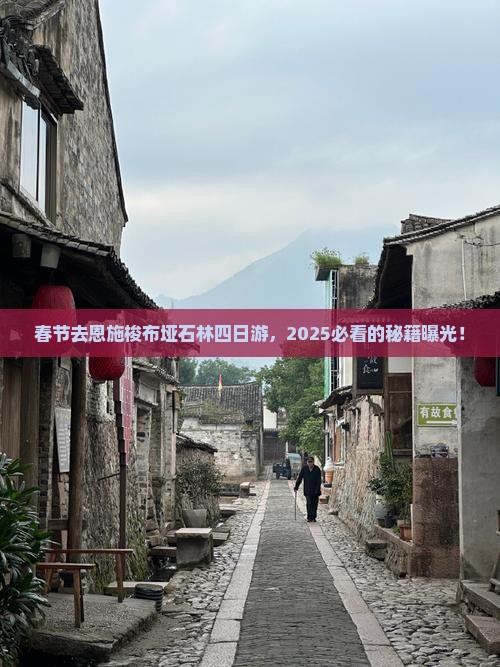 春节去恩施梭布垭石林四日游