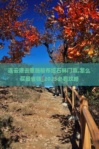 连云港去恩施梭布垭石林门票