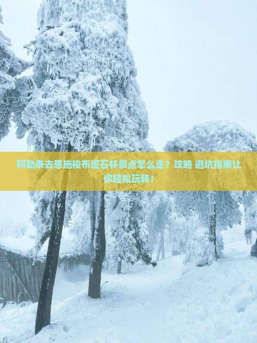 阿勒泰去恩施梭布垭石林景点