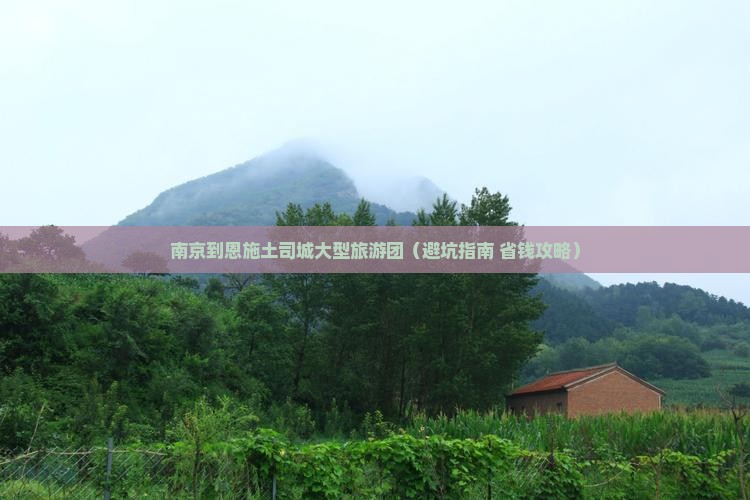 南京到恩施土司城大型旅游团
