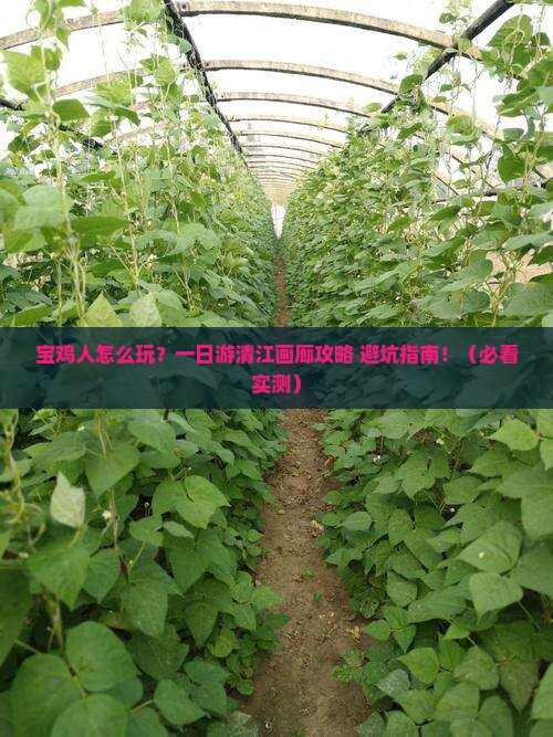 宝鸡去恩施清江画廊一日
