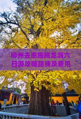 柳州去恩施腾龙洞六日游