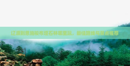 辽源到恩施梭布垭石林哪里玩