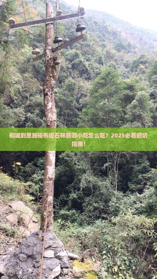 桐城到恩施梭布垭石林旅游小吃
