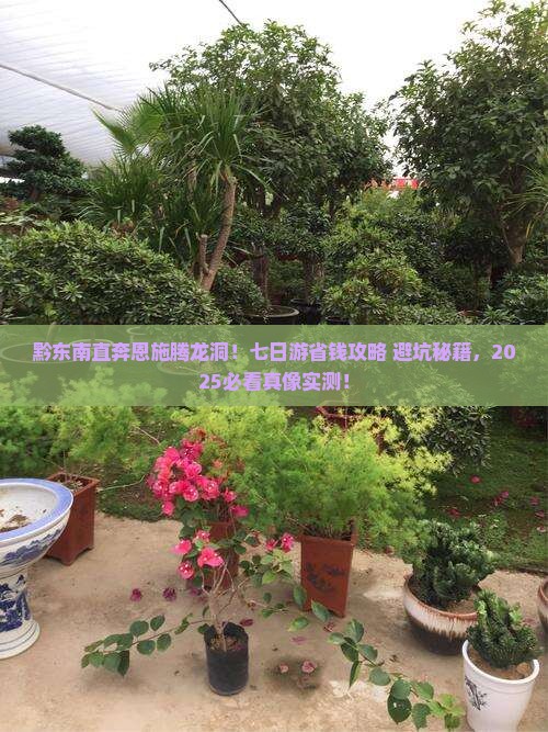 黔东南去恩施腾龙洞七日游