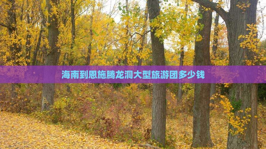海南到恩施腾龙洞大型旅游团