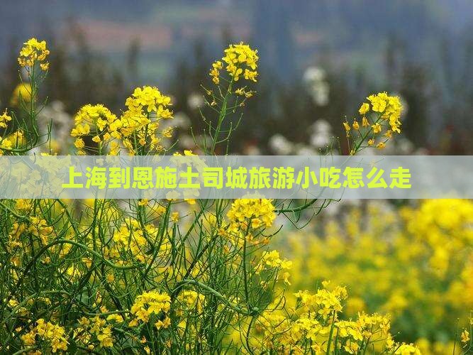 上海到恩施土司城旅游小吃