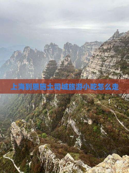 上海到恩施土司城旅游小吃