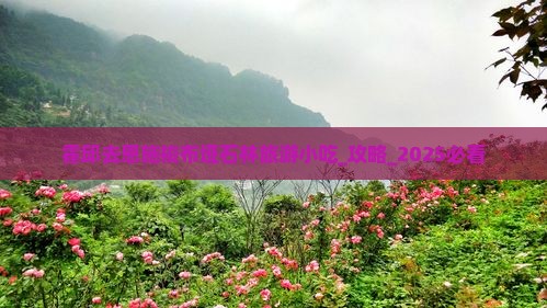 霍邱去恩施梭布垭石林旅游小吃