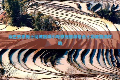 崇左去恩施土司城旅游小吃