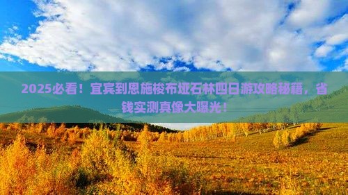 宜宾到恩施梭布垭石林四日游