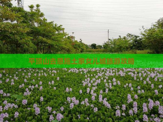 平顶山去恩施土家女儿城门票