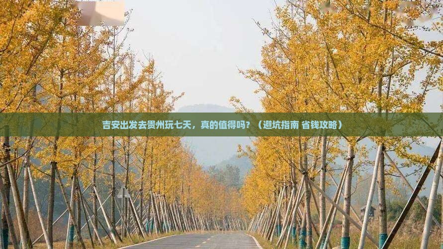 吉安去贵州七日游