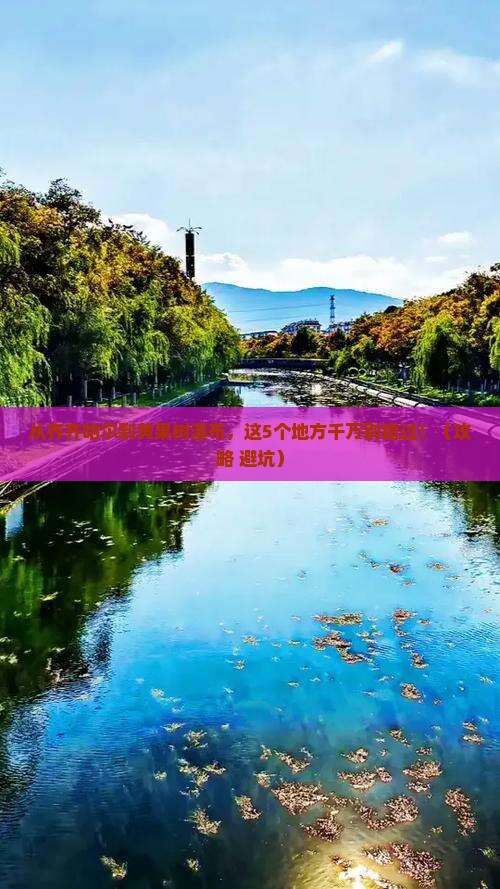 齐齐哈尔到贵州黄果树瀑布必去地