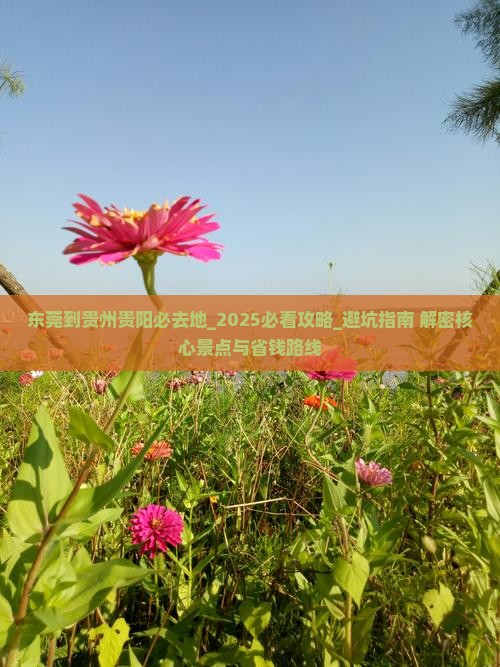 东莞到贵州贵阳必去地