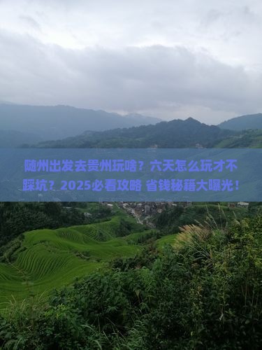 随州去贵州六日游