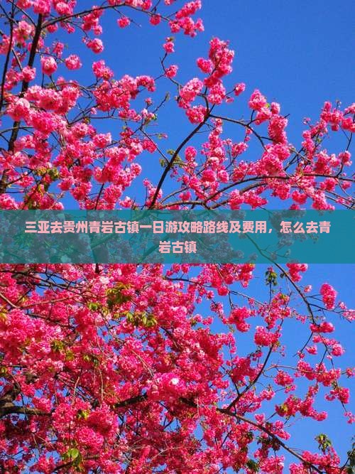 三亚去贵州青岩古镇一日