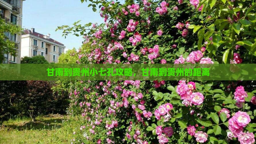 甘南到贵州小七孔攻略