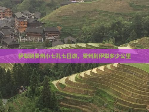 伊犁到贵州小七孔七日游
