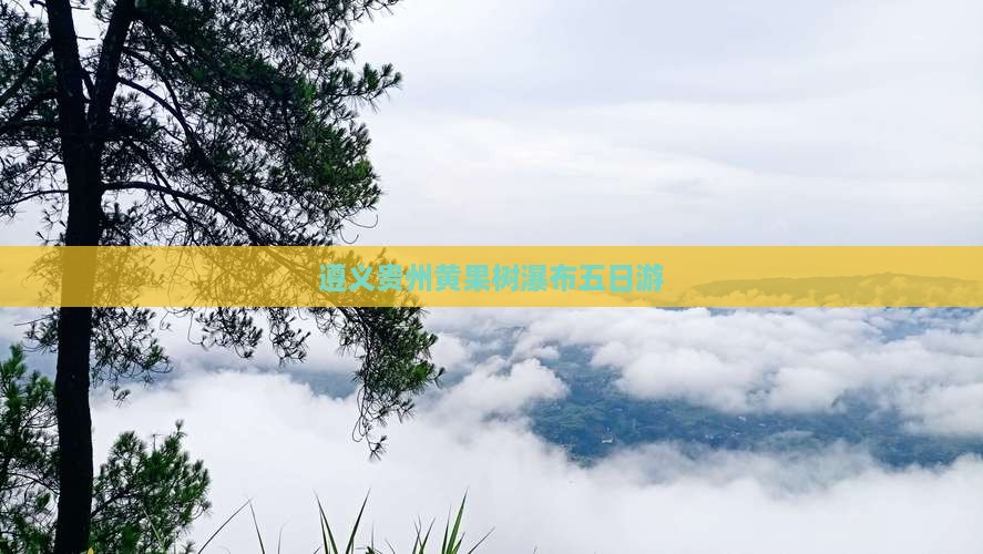 遵义到贵州黄果树瀑布五日游