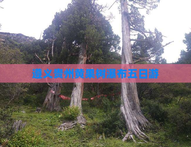 遵义到贵州黄果树瀑布五日游