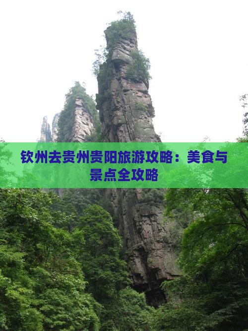 钦州去贵州贵阳旅游小吃