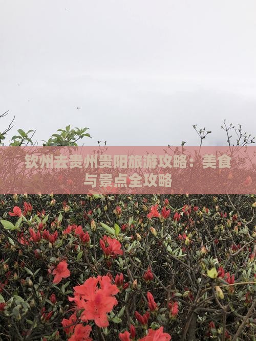 钦州去贵州贵阳旅游小吃