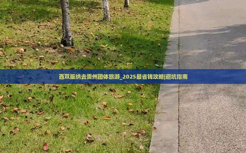 西双版纳去贵州团体旅游 西双版纳去贵州团体旅游