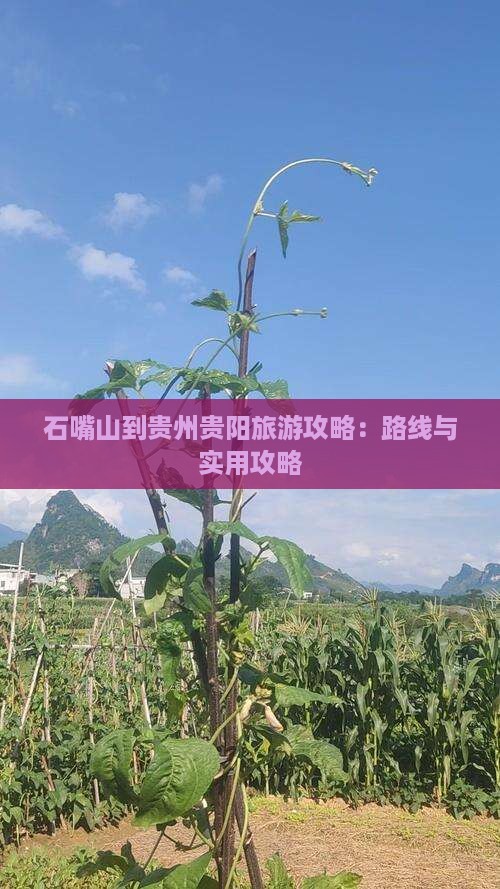 石嘴山到贵州贵阳攻略
