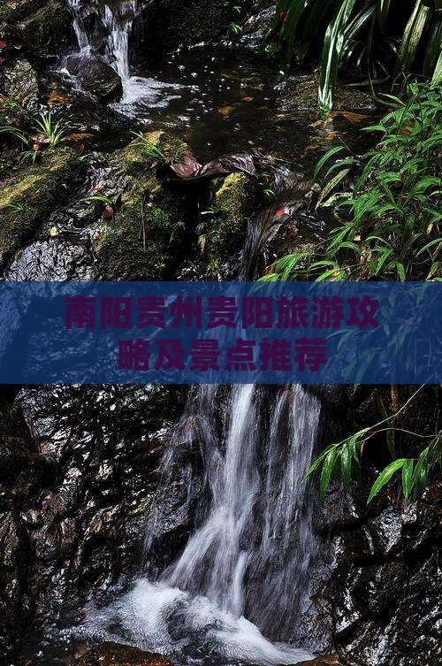 南阳去贵州贵阳自由团