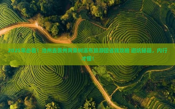 沧州去贵州黄果树瀑布大型旅游团