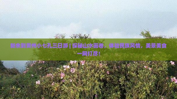新余到贵州小七孔三日游