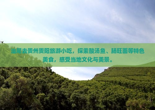 汕尾去贵州贵阳旅游小吃