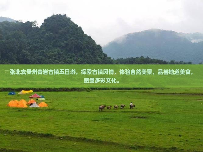 张北去贵州青岩古镇五日游