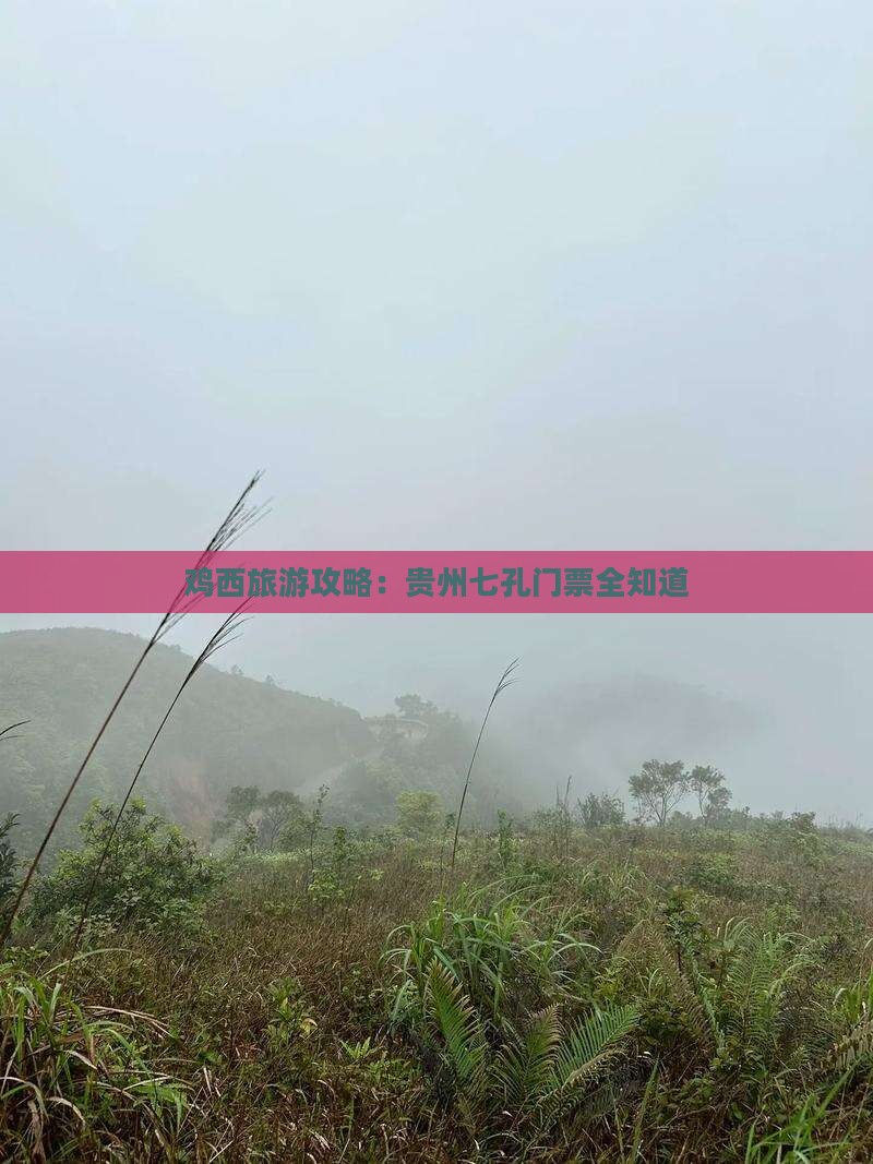 鸡西去贵州小七孔门票