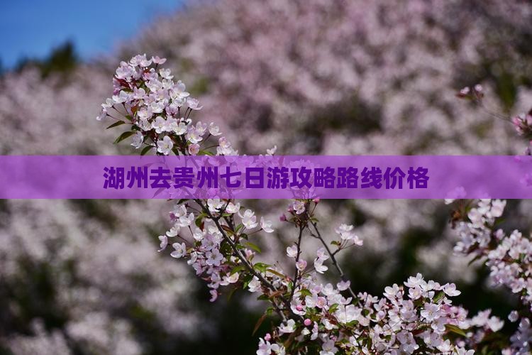 湖州去贵州七日游