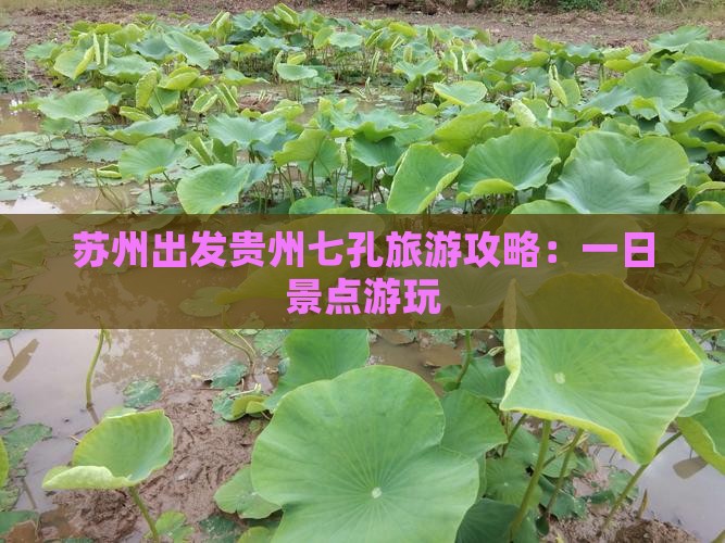 苏州到贵州小七孔一日 苏州到贵州小七孔一日
