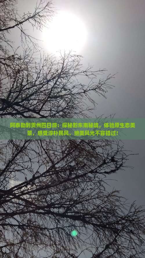 阿泰勒到贵州四日游